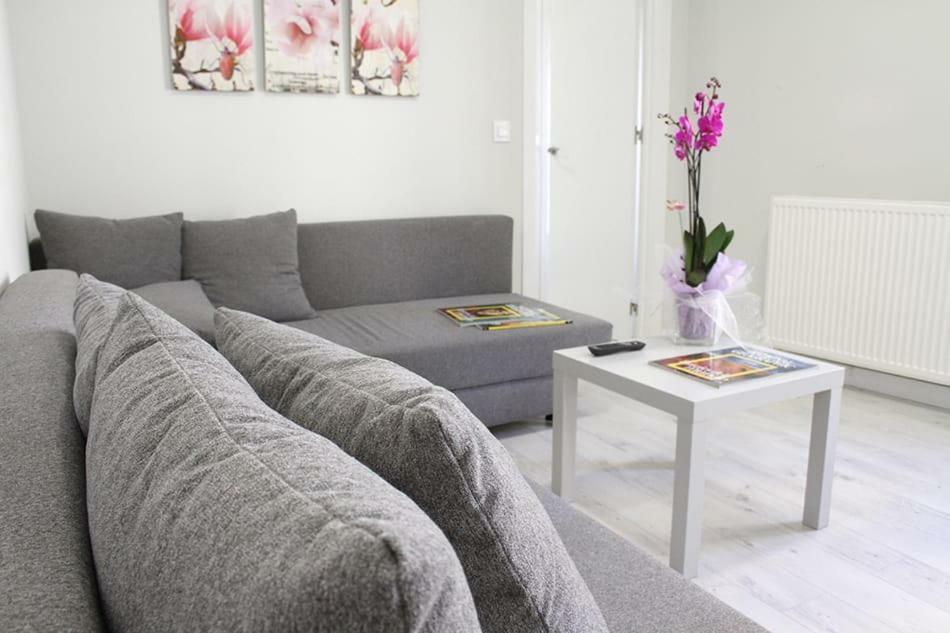 Apartamentos Logrono Centro Εξωτερικό φωτογραφία